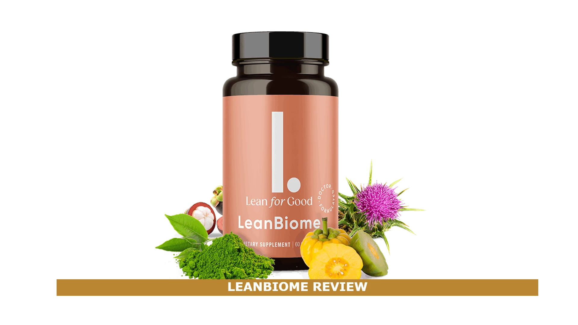 LeanBiome Review