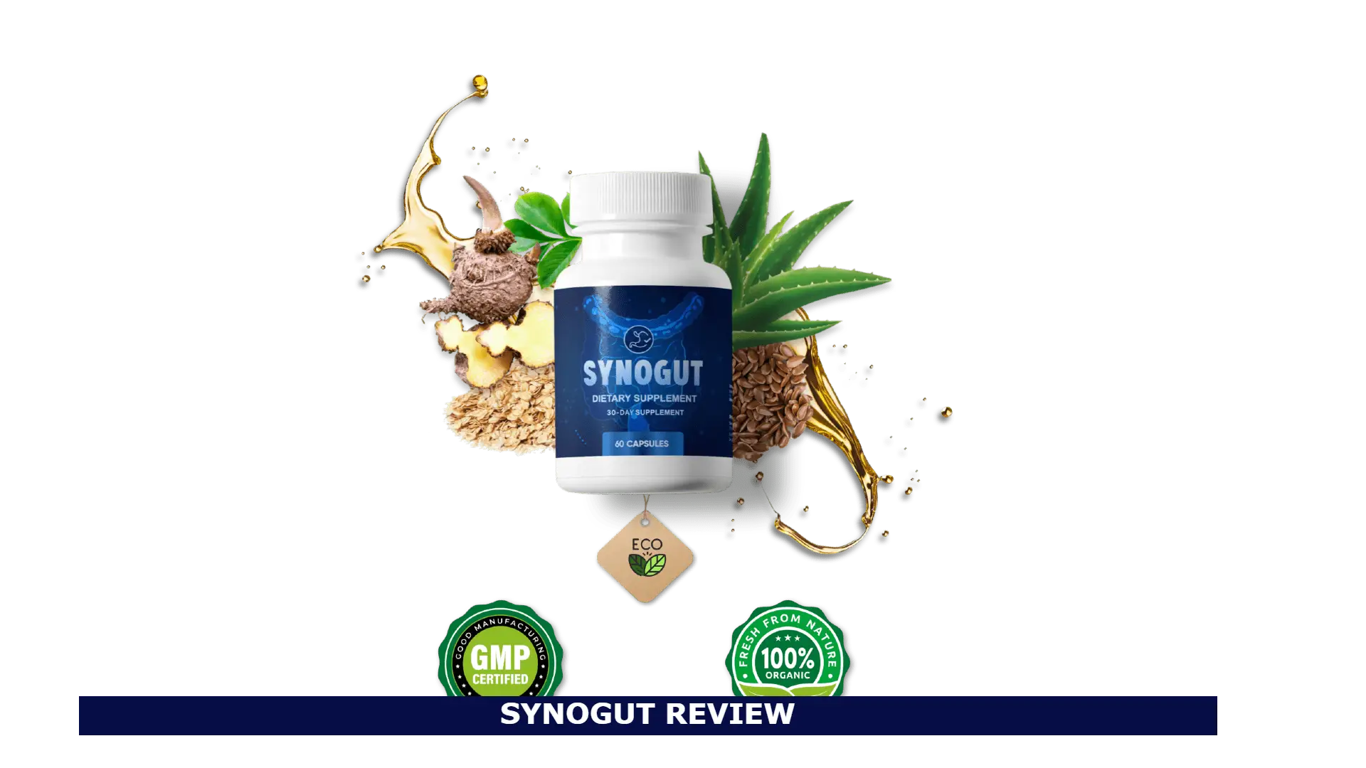 Synogut Review